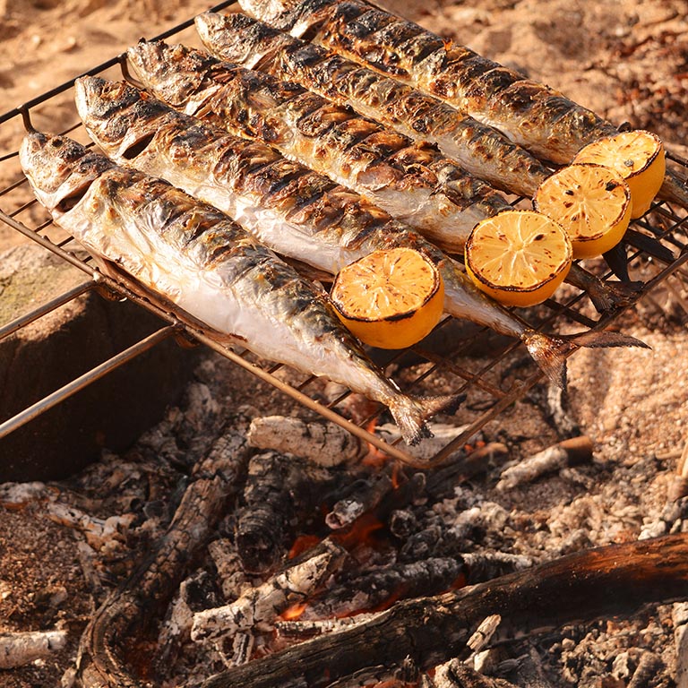 Summer Mackeral