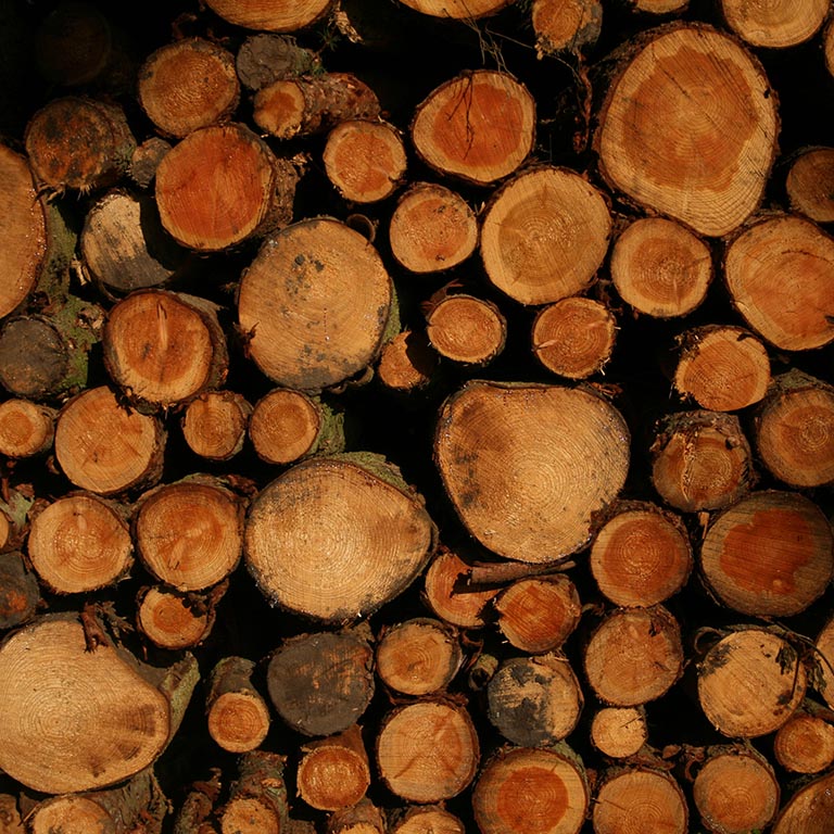 Sustainable Scottish hardwood logs fuel our kitchen